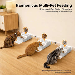 Rfid-Enabled Automatic Pet Feeder: Smart Food Dispenser for Multi-Pet Households