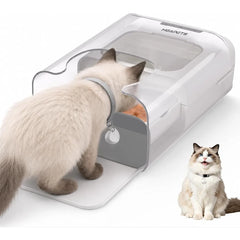 Rfid-Enabled Automatic Pet Feeder: Smart Food Dispenser for Multi-Pet Households