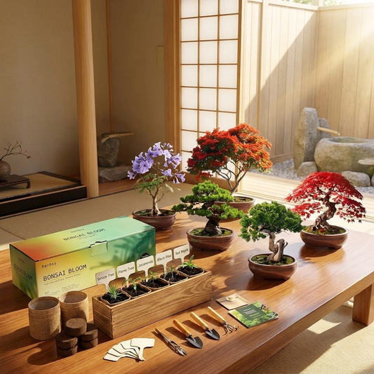 5-Pack Bonsai Tree Starter Kit — Complete Growing Kit with Tools